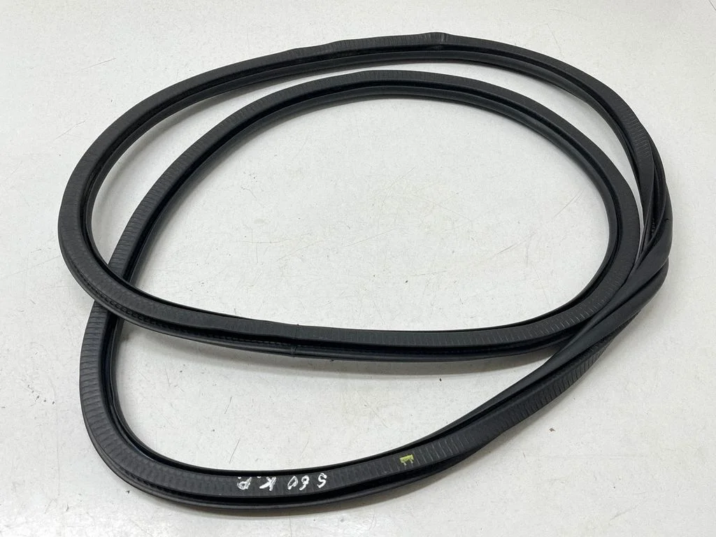 Front door rubber seal – front left