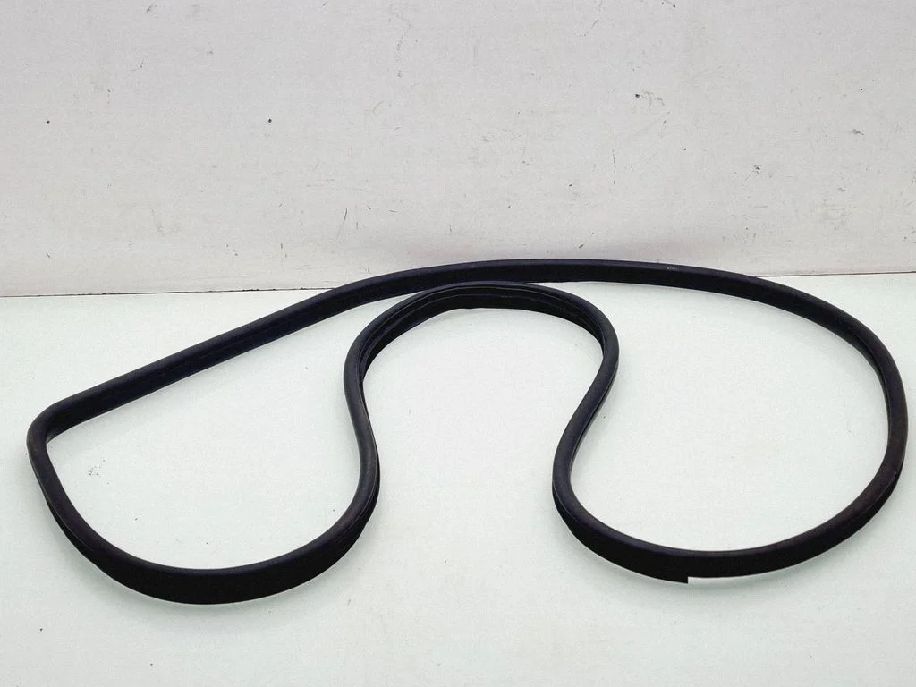 Front door rubber seal – front left