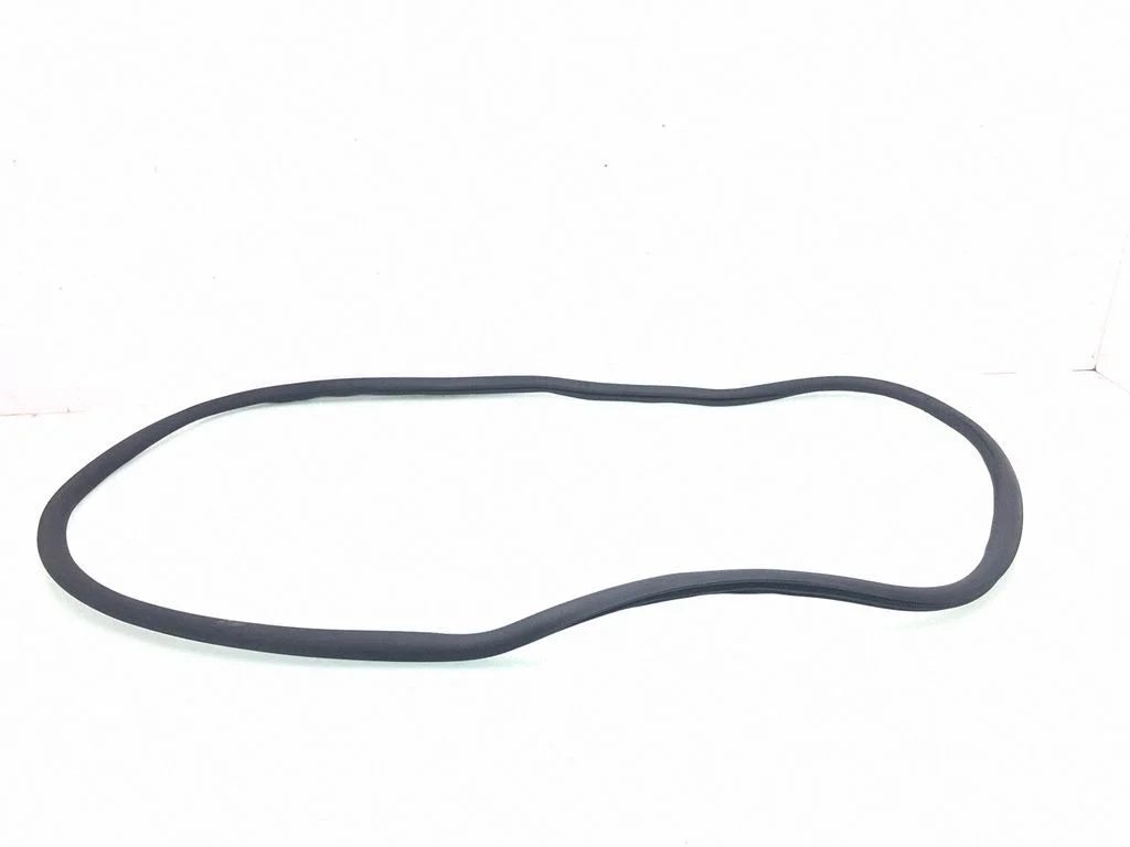 Front door rubber seal – front left