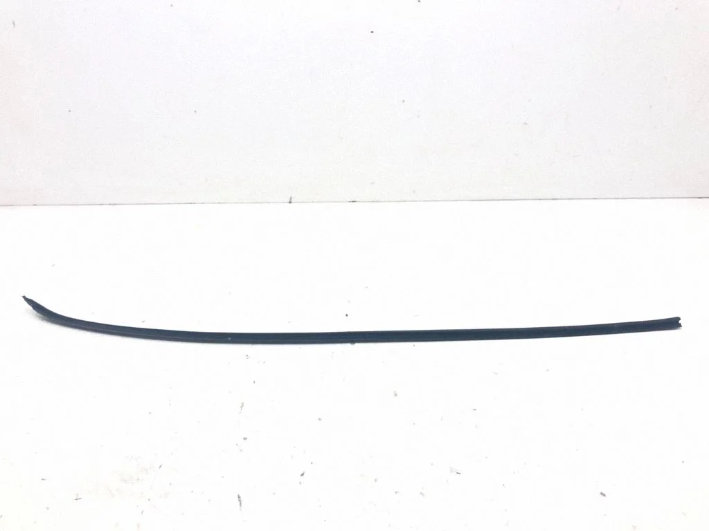 Front door rubber seal – front left