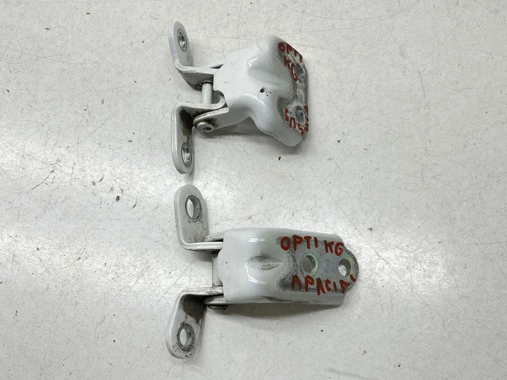 Rear door hinge set – rear left