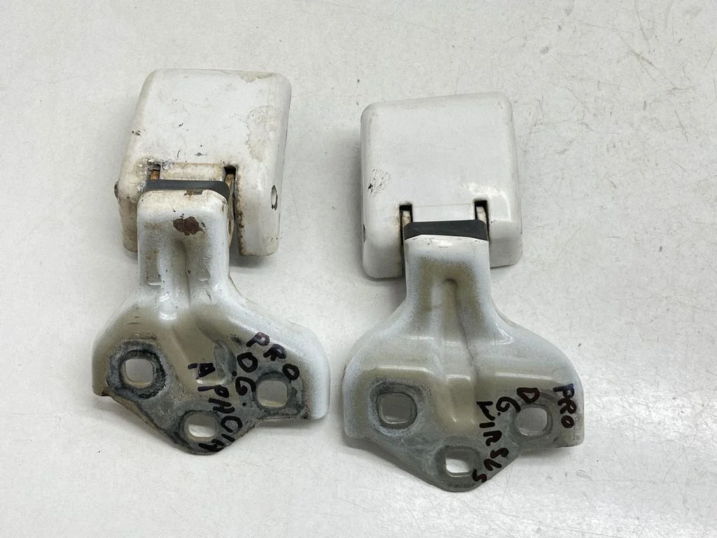 Rear door hinge set 9820031980