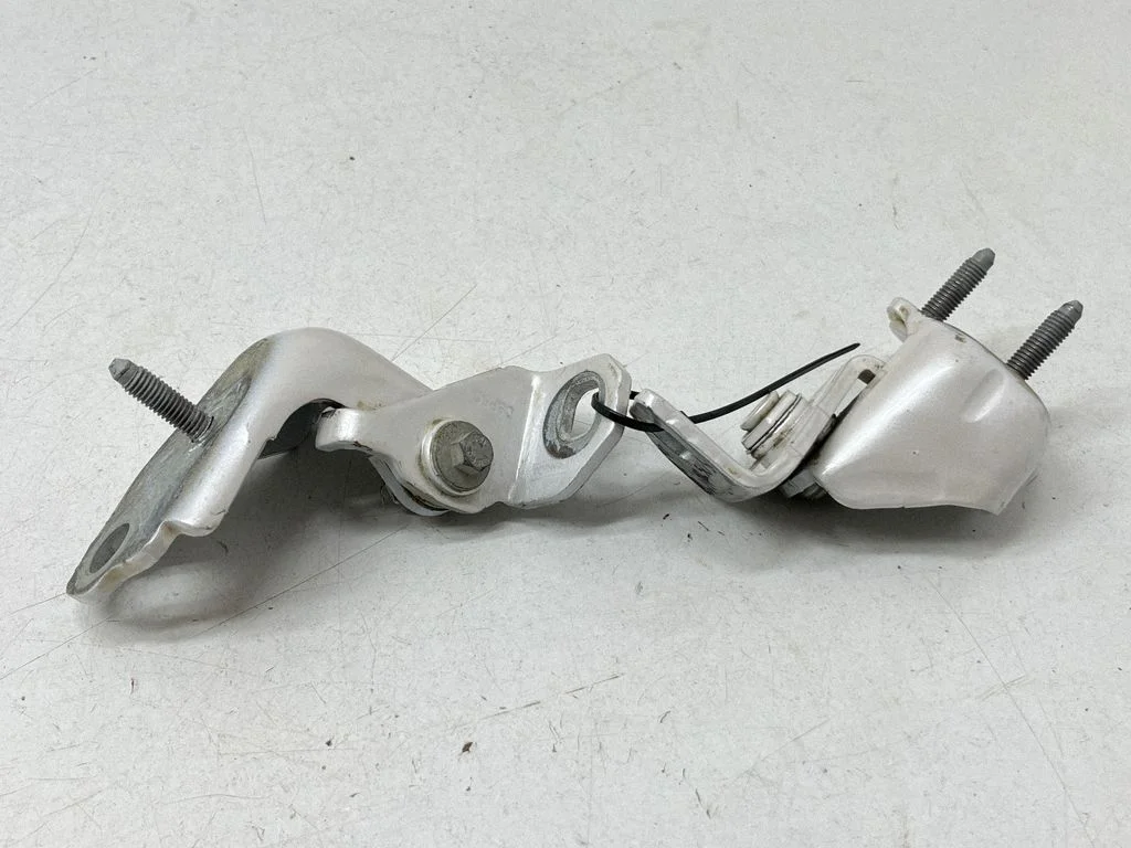 Aizmugurējo eņģu komplekts DS73F26811AC