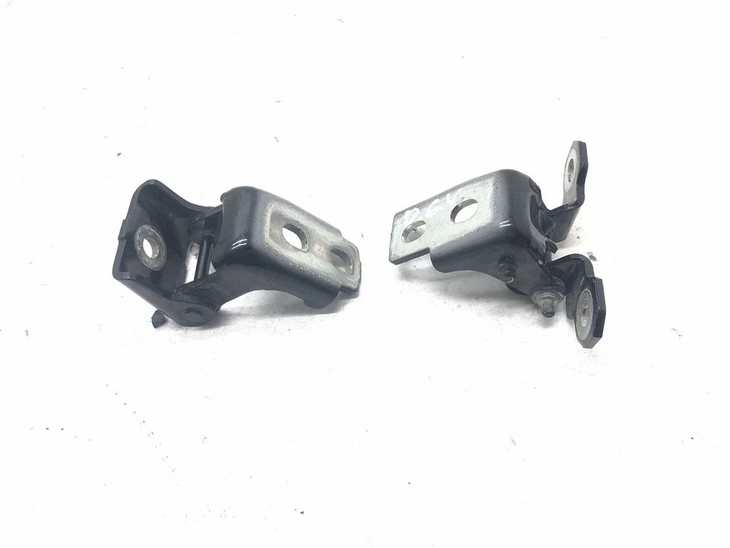 Rear door hinge set 804200003RK