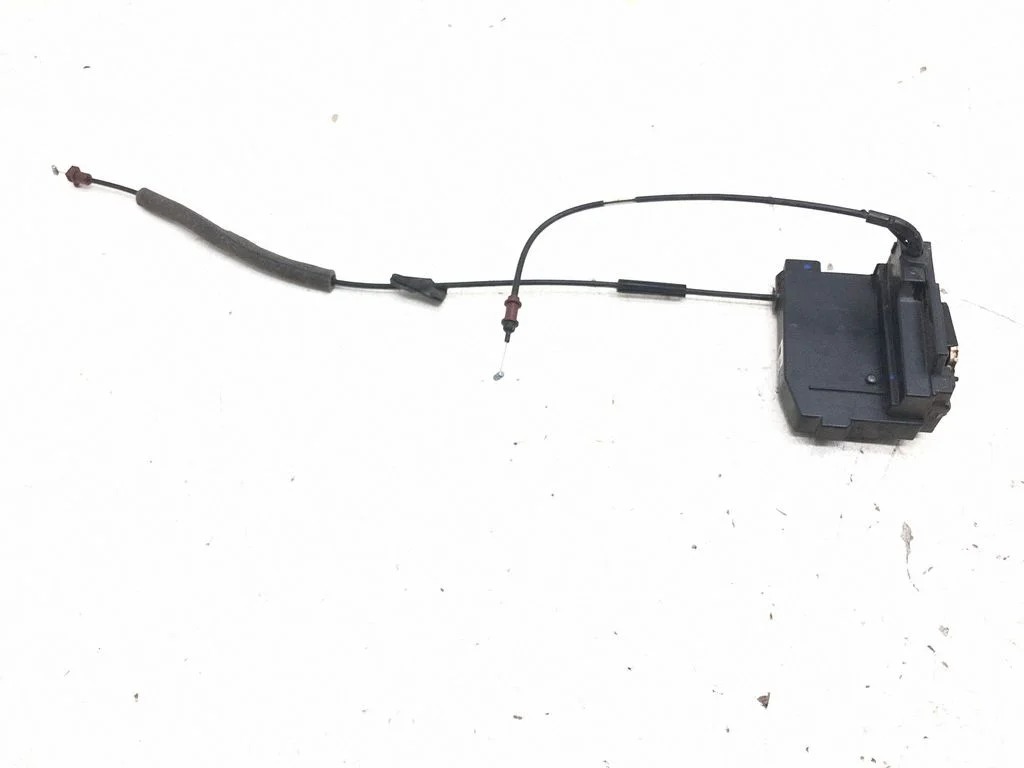 Rear door lock 9810311180