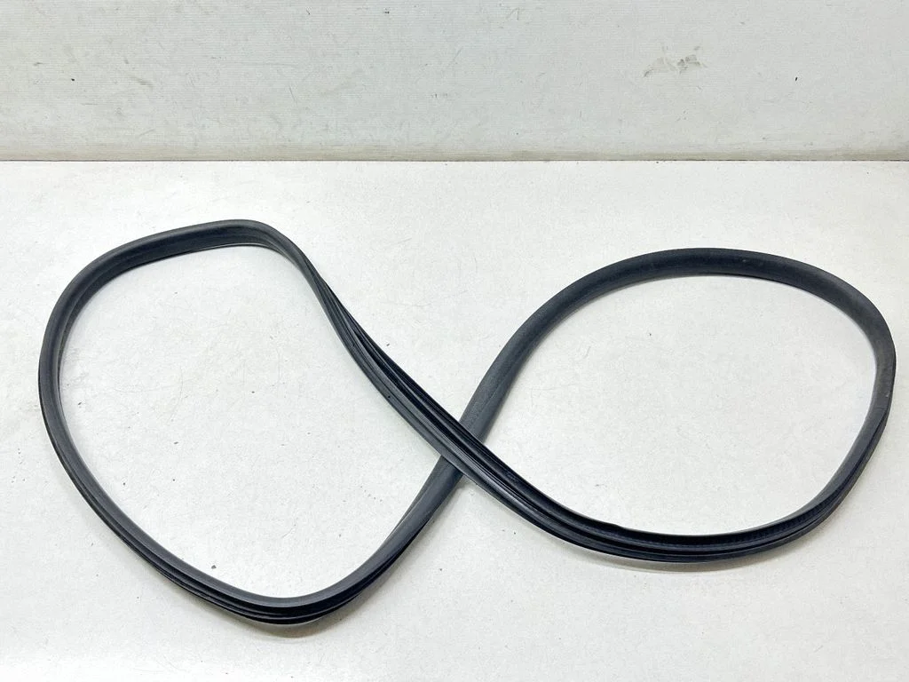 Rear door rubber seal (on body) – rear left