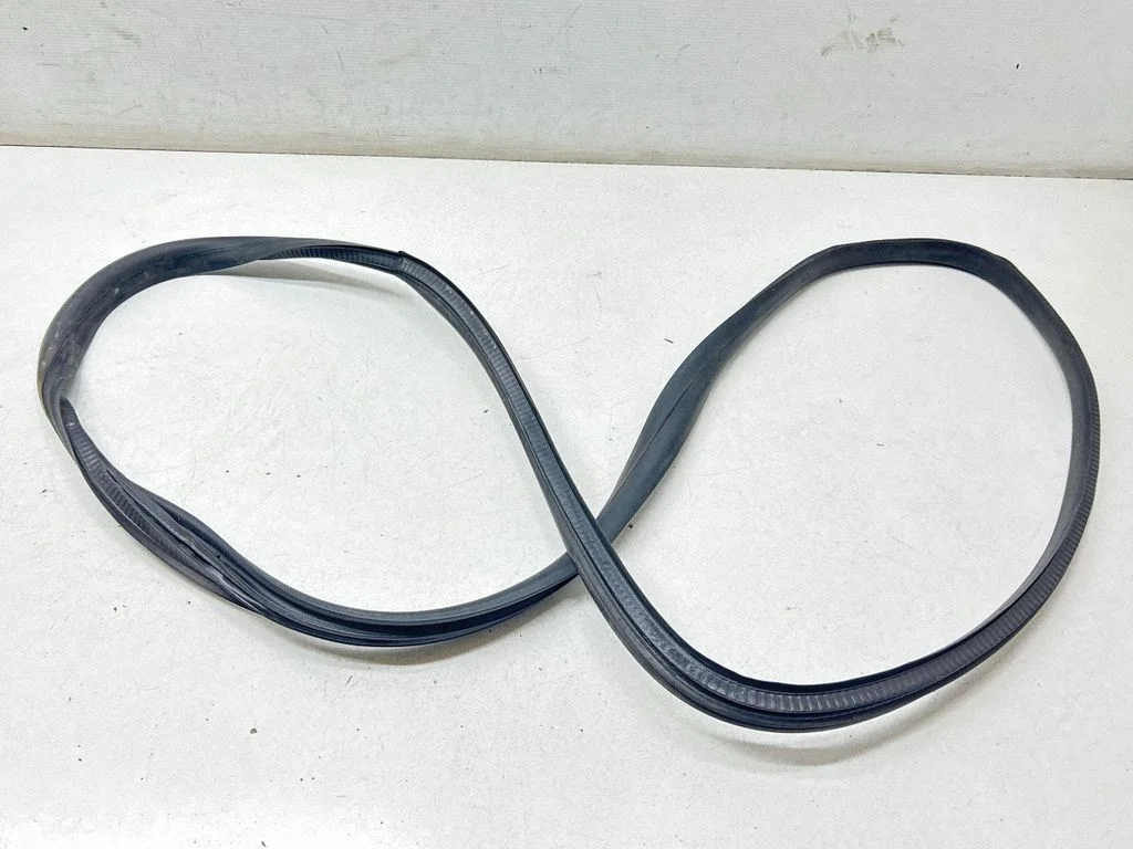 Rear door rubber seal (on body) – rear left
