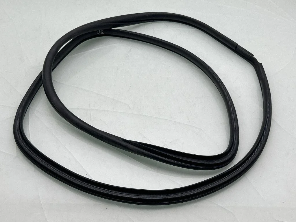 Rear door rubber seal (on body) 20291353
