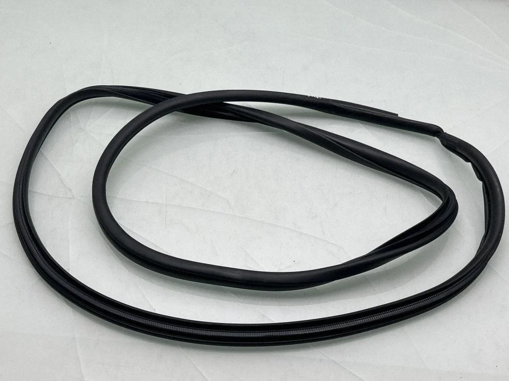 Rear door rubber seal (on body) 20011344
