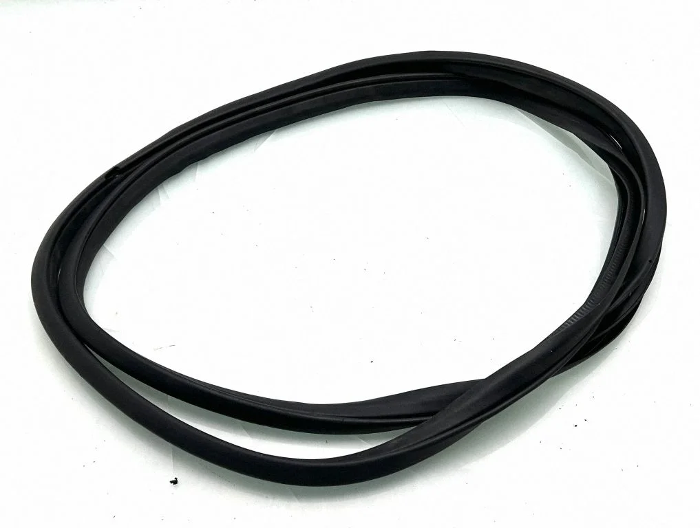 Rear door rubber seal (on body) 769234JG0A