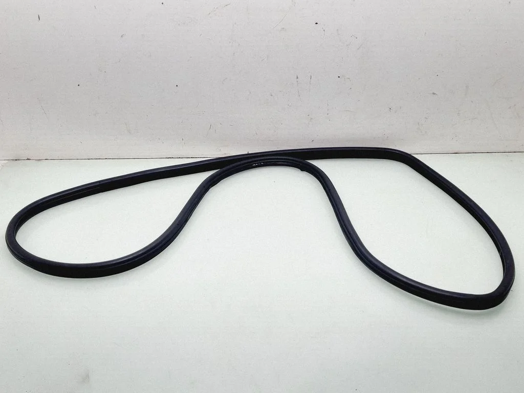 Rear door rubber seal (on body) – rear left