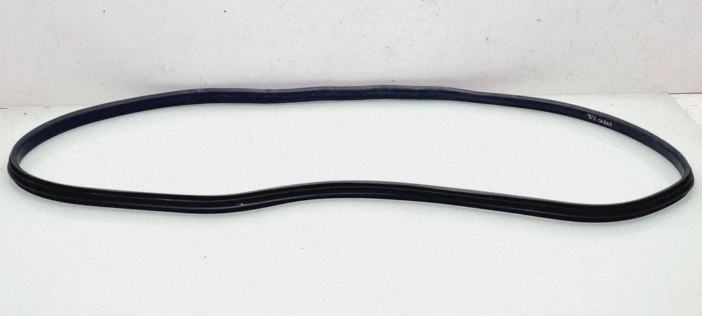 Rear door rubber seal (on body) – rear left