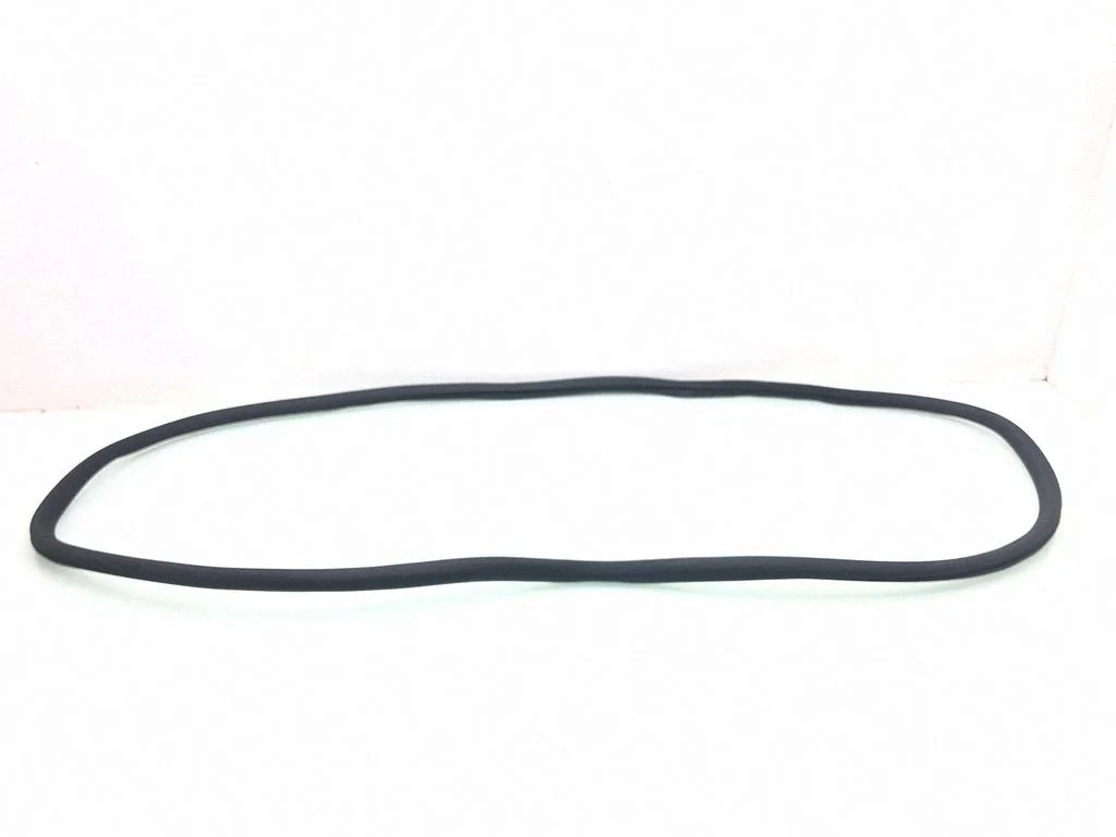 Rear door rubber seal (on body) – rear left