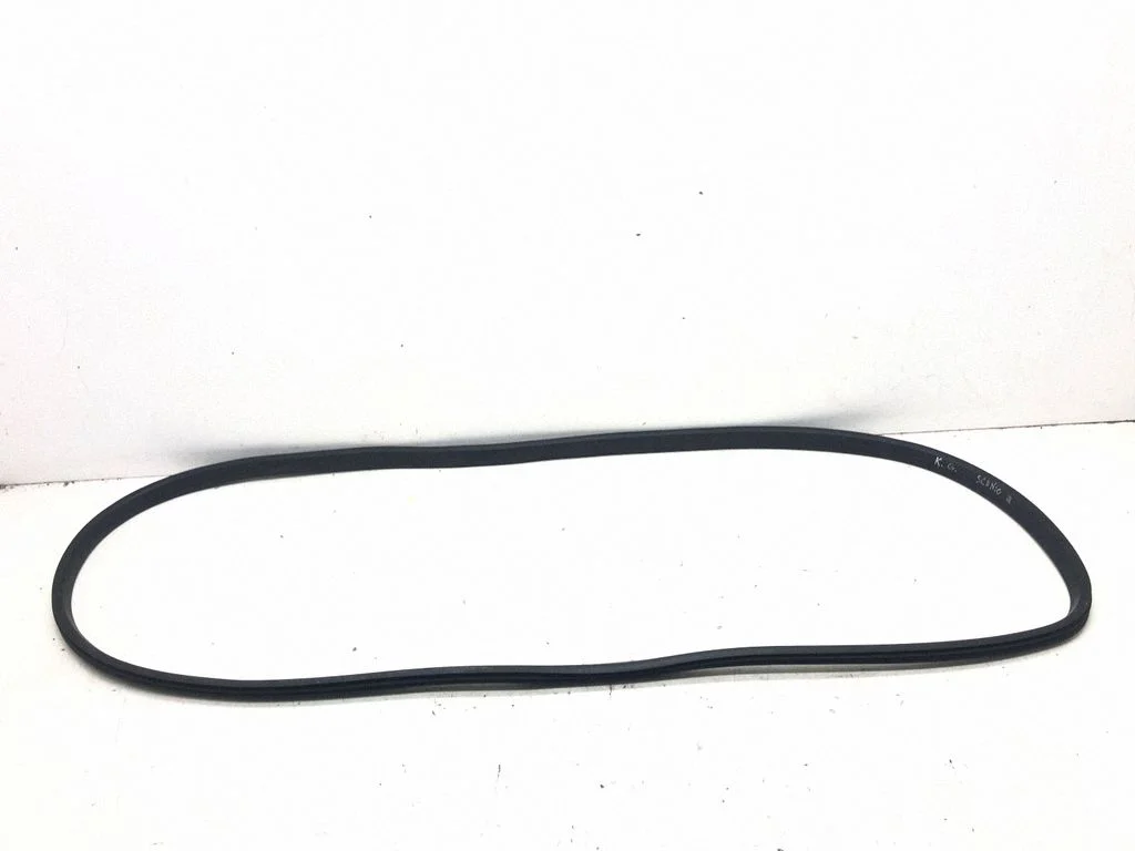 Rear door rubber seal (on body) – rear left