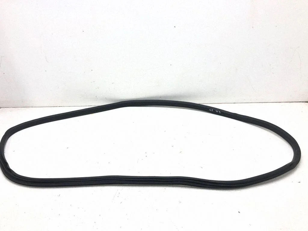 Rear door rubber seal (on body) 7311267