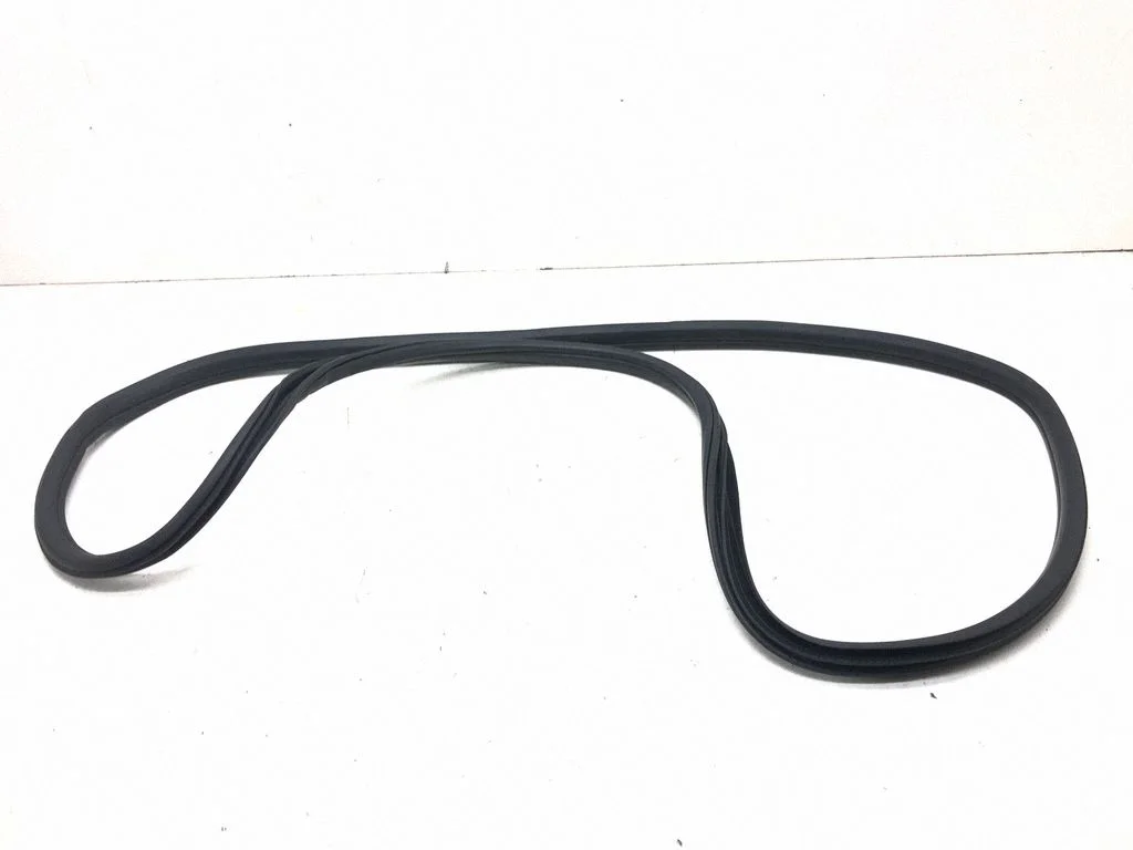 Rear door rubber seal (on body) 7311267