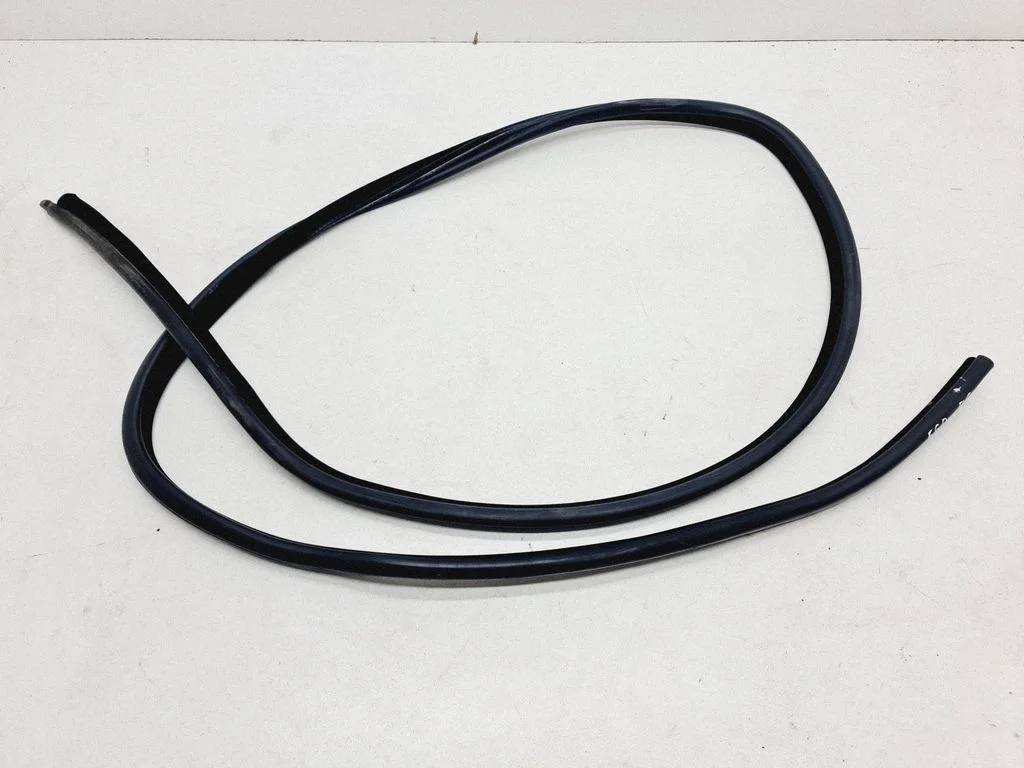 Rear door rubber seal (on body) – rear right