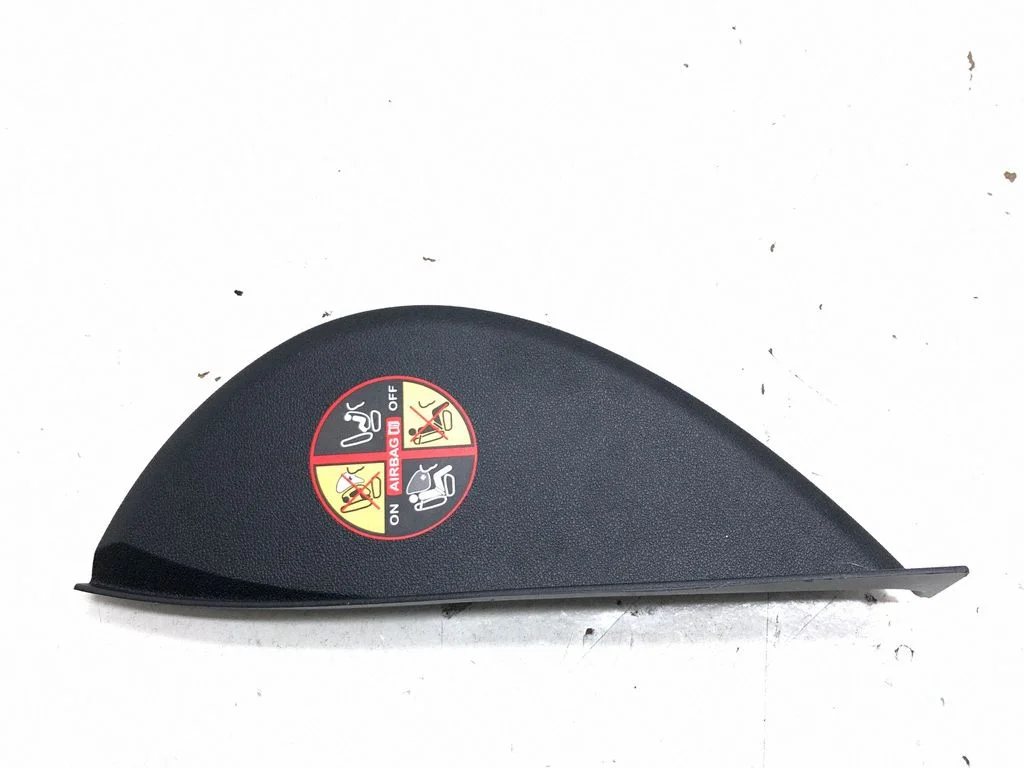 Paneļa apdares panelis (sānu) 689210021R