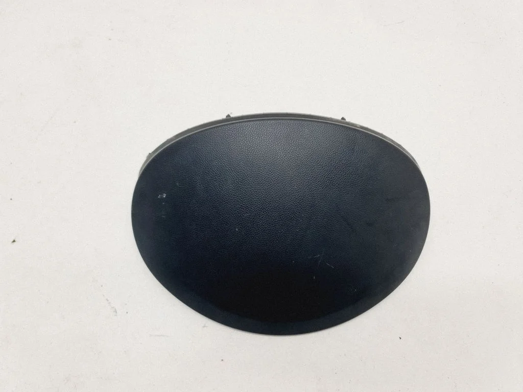 Dashboard trim 13301012