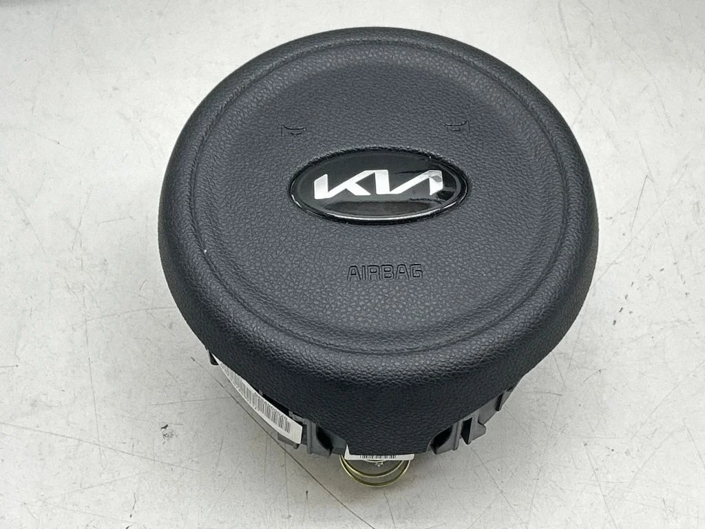 Steering wheel airbag 56900D4100WK