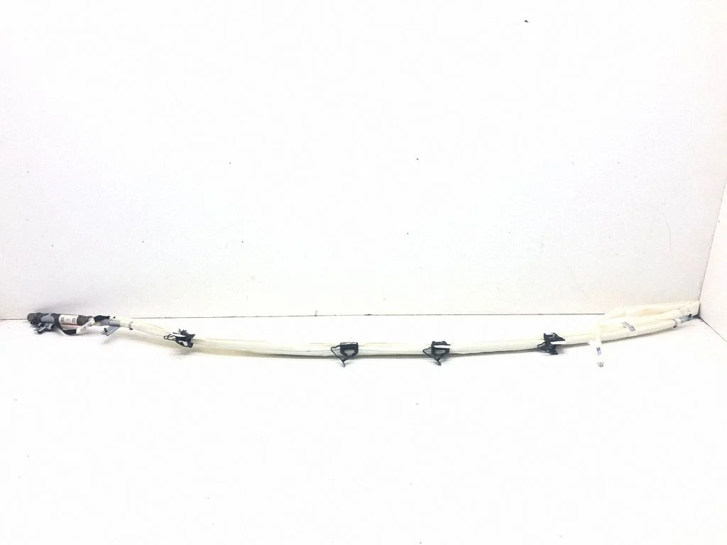 Roof airbag 006179200C