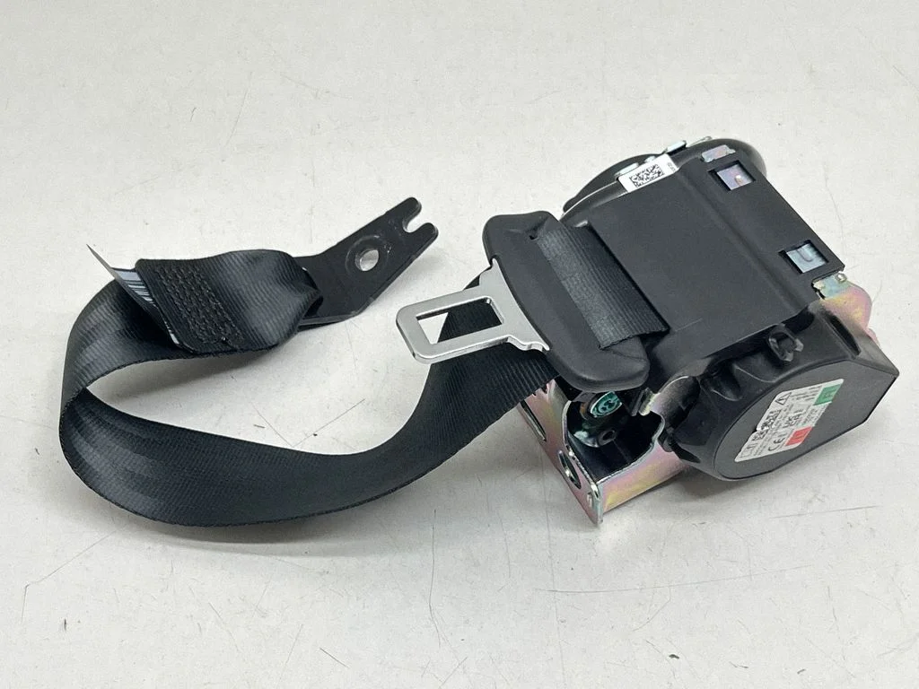 Rear seatbelt P031462758