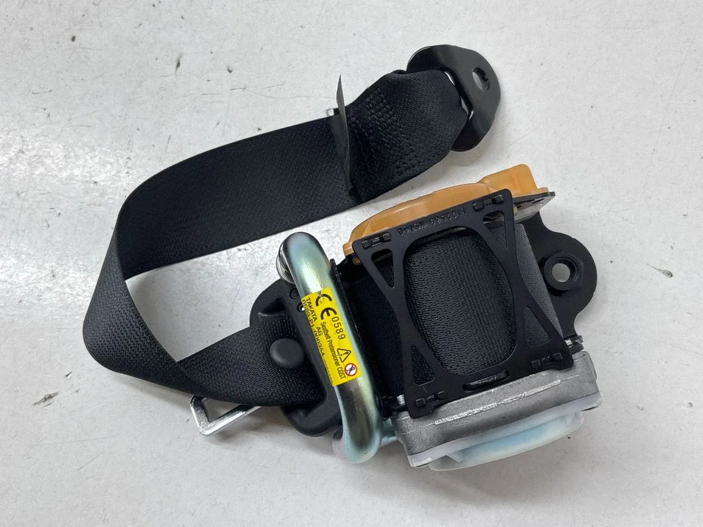 Rear seatbelt 308629999