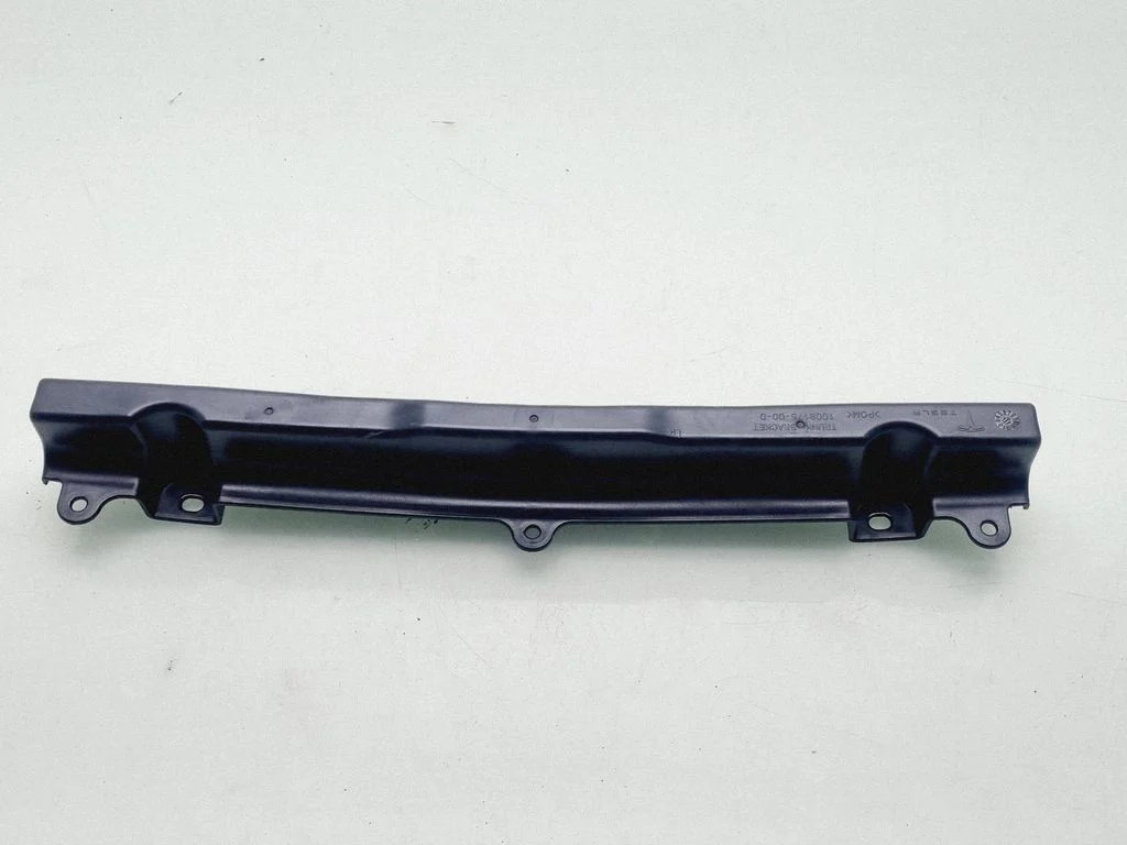Other trunk/boot trim element 10091700D