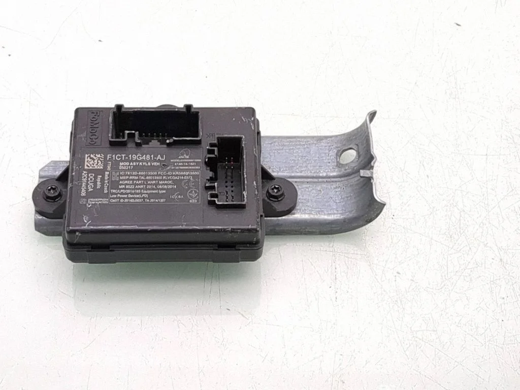 Ukseelektroonika juhtplokk F1CT19G481AJ
