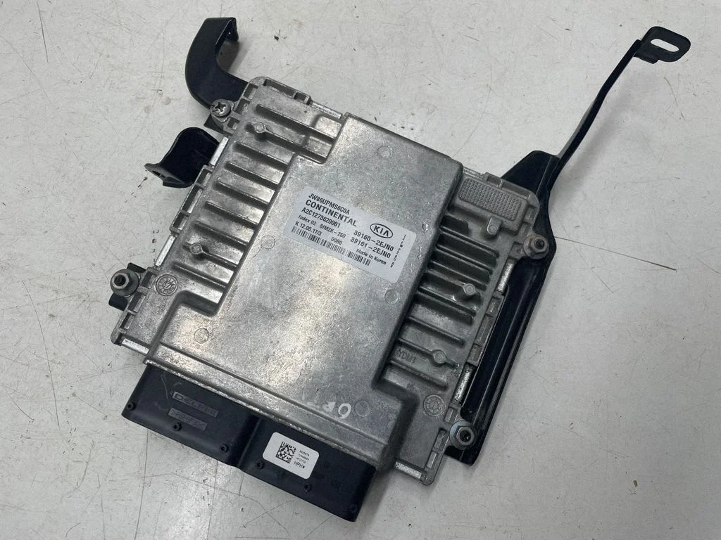 Dzinēja vadības bloks 391602EJN0