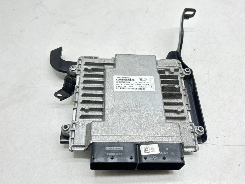 Engine control unit/module 391602EJN0