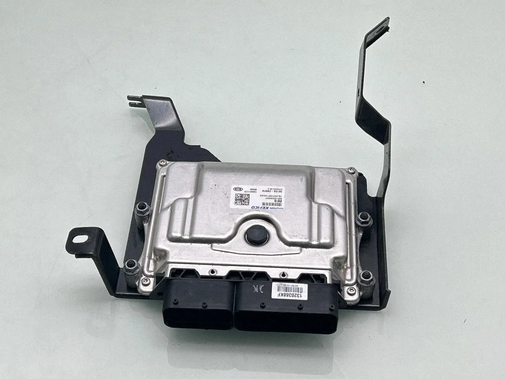 Sterownik silnika 391282BRF8