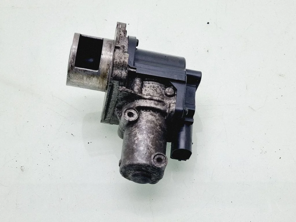EGR-klapp 284102F000