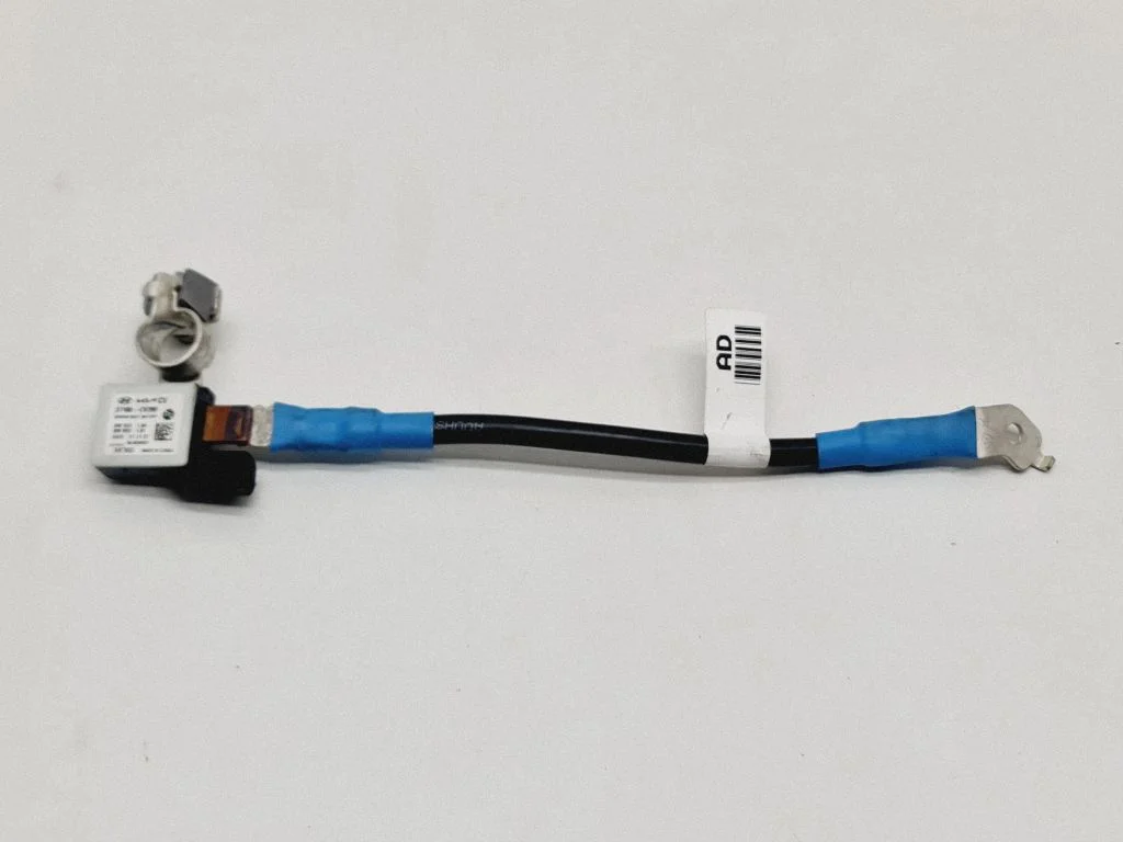 Przewód masowy (akumulatora) – KIA EV6 (2021-)