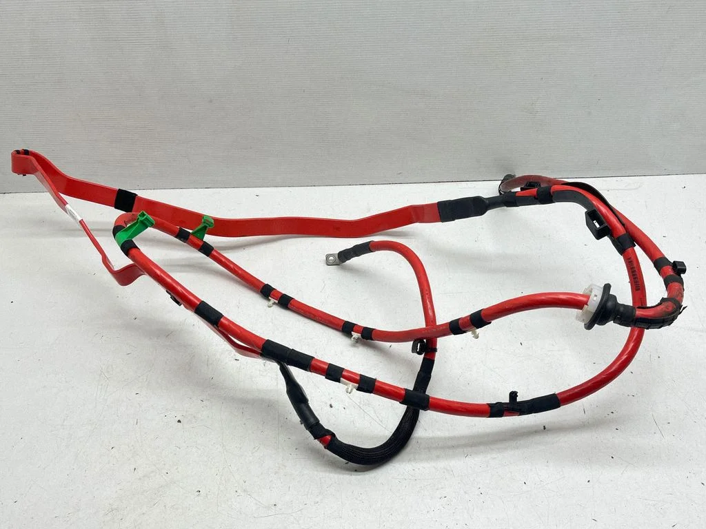Plusa vads (akumulatora) 8W1971225AA