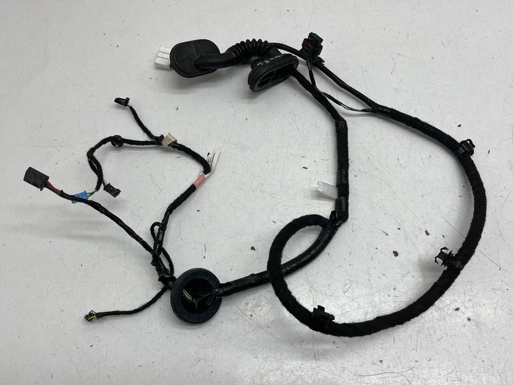 Tagaukse juhtmestik 306796600A