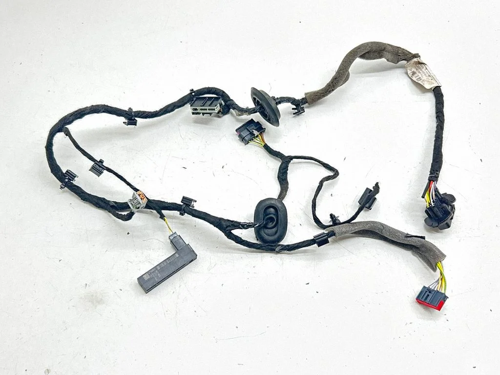 Tagaukse juhtmestik P31667909