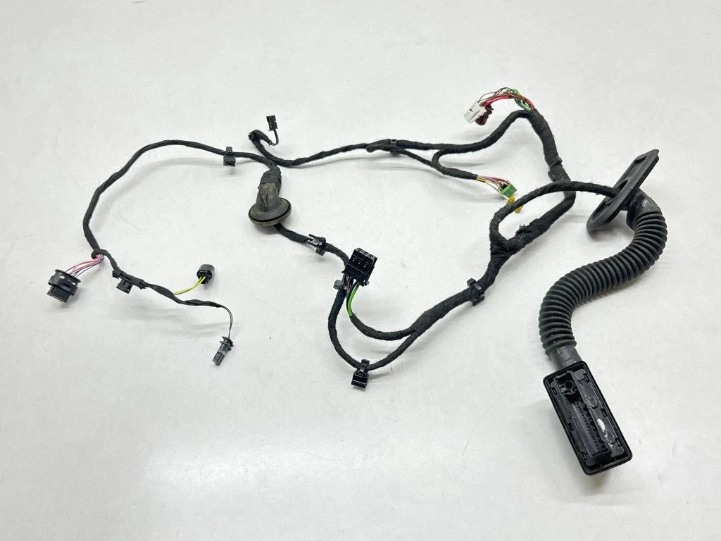 Rear door wiring loom A0009824509