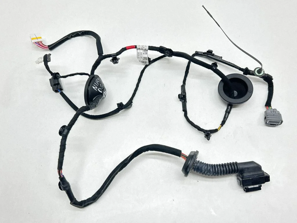 Rear door wiring loom 91630AO100