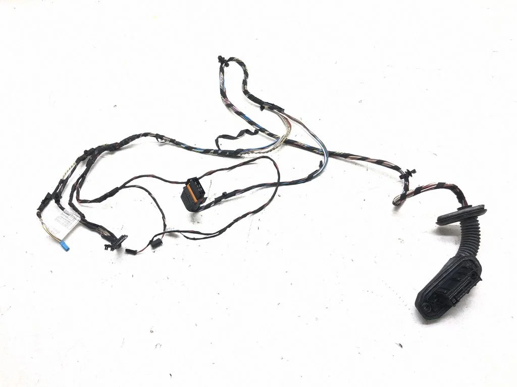 Rear door wiring loom 9243664