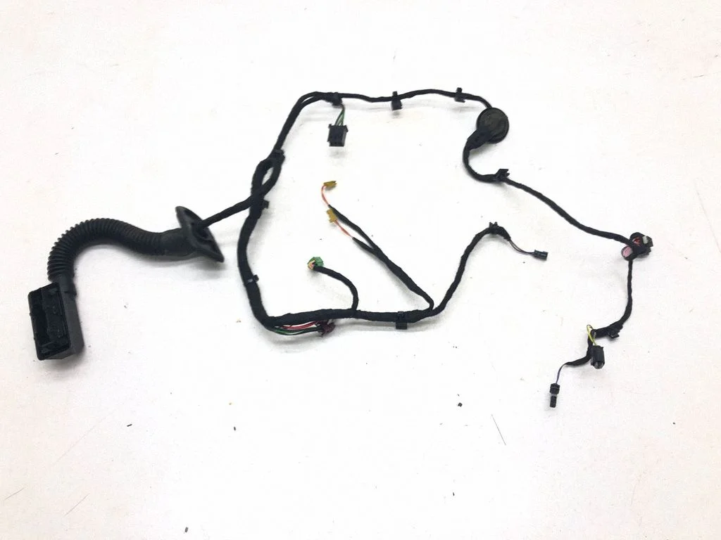 Rear door wiring loom A0009824509