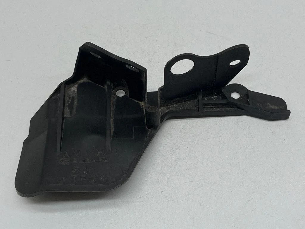 Aizmugurējais dubļusargs 59123AN07B