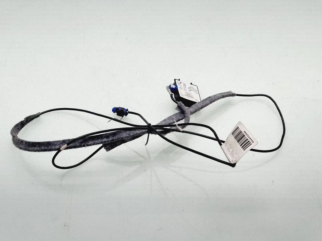 Wzmacniacz antenowy – Peugeot 508 RXH (2011-2018)
