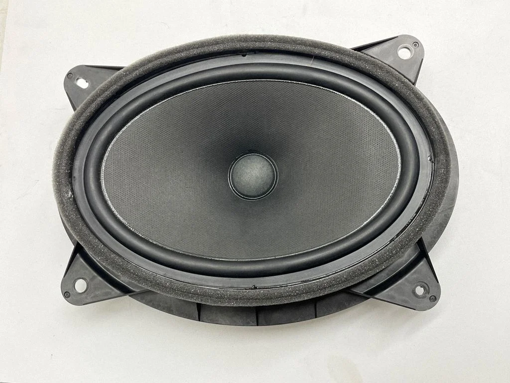 Skaļrunis (-ņi) priekšējās durvīs 4M326F