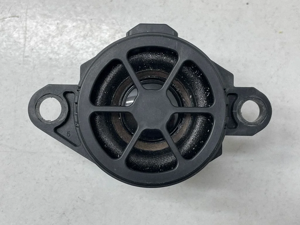 Skaļrunis panelī – Nissan Qashqai J12 (2021-)