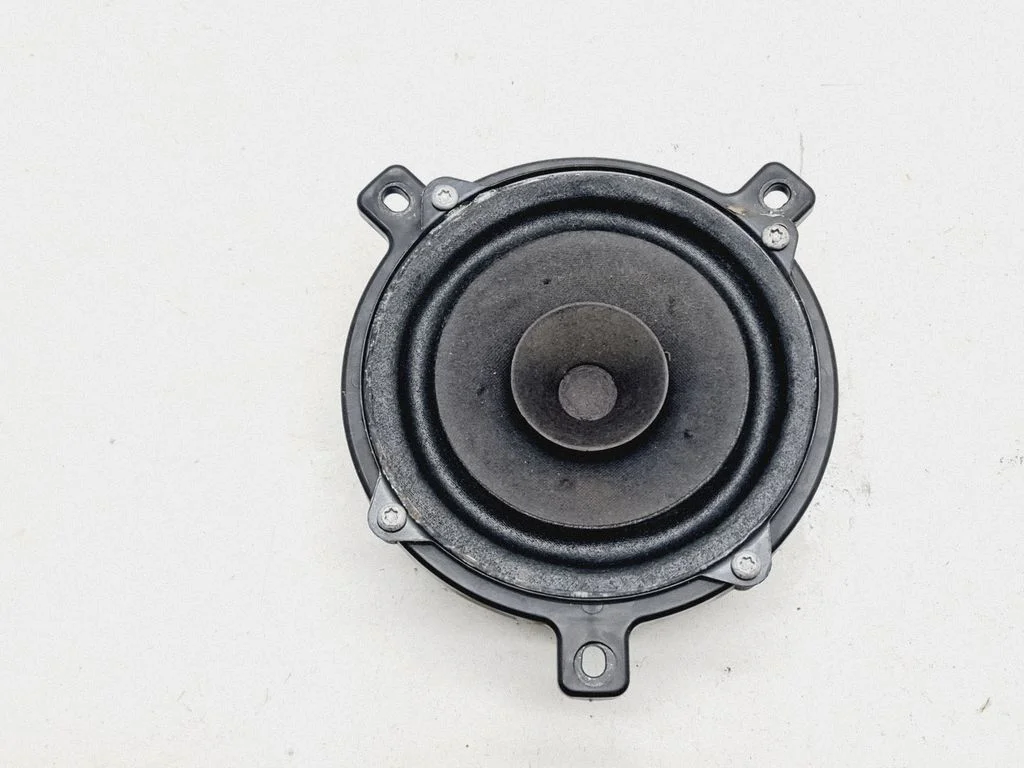 Tagaukse kõlar(id) 4713301