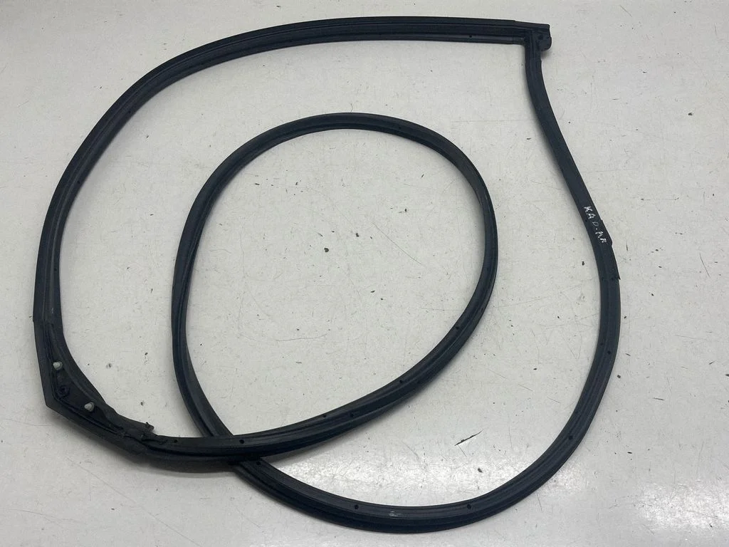 Rubber seal front door (on door) – front left