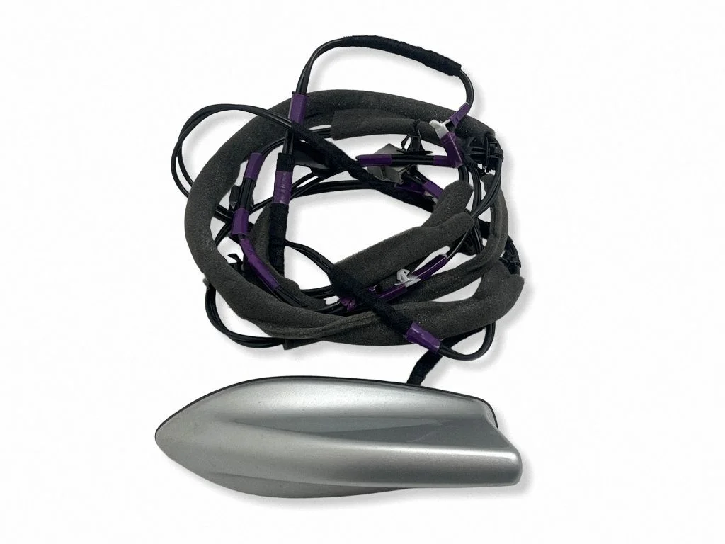 Antenn (GPS-antenn) 282086RR0A