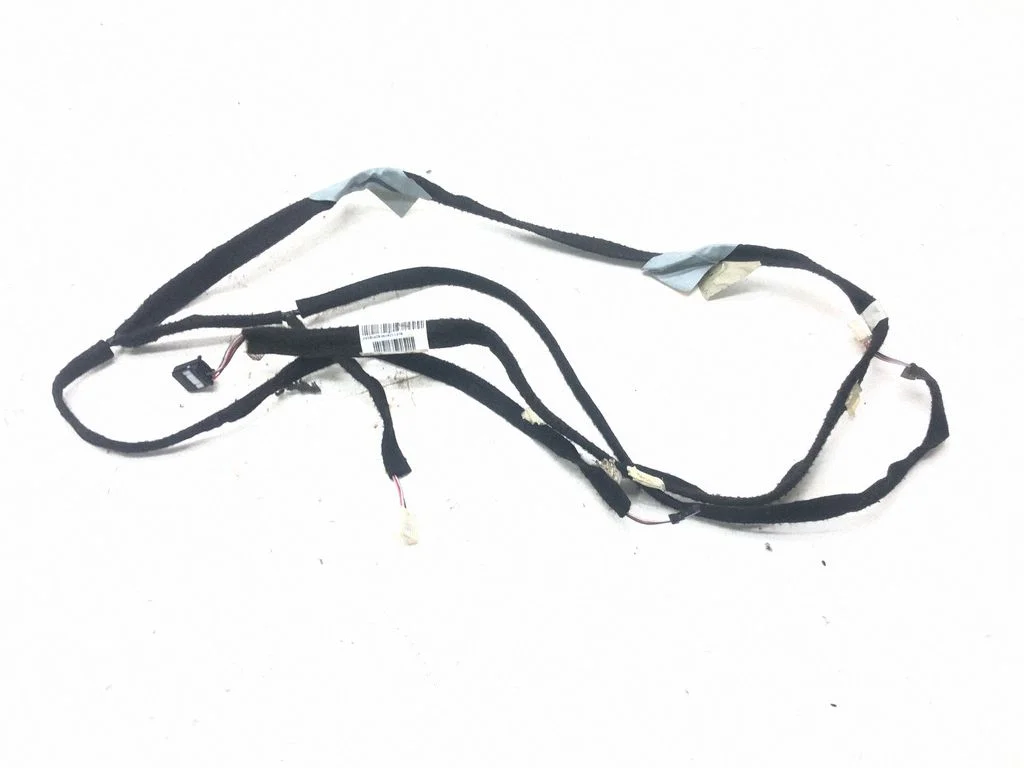 Other wiring loom 241602053R