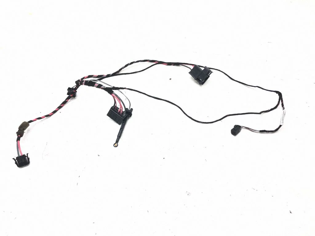 Other wiring loom T1005563R